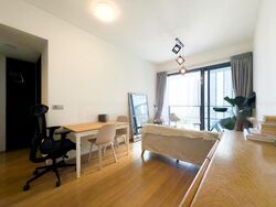 Skysuites@Anson (D2), Apartment #482859491